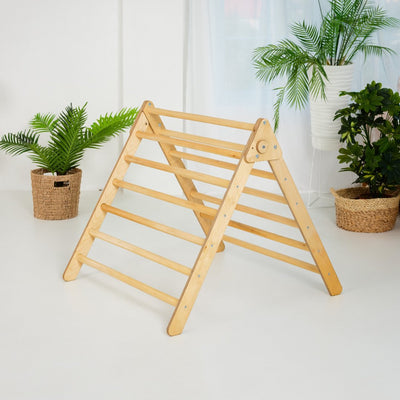 Indoor Montessori Triangle Climbing Ladder for Toddlers 1-7 y.o. Goodevas